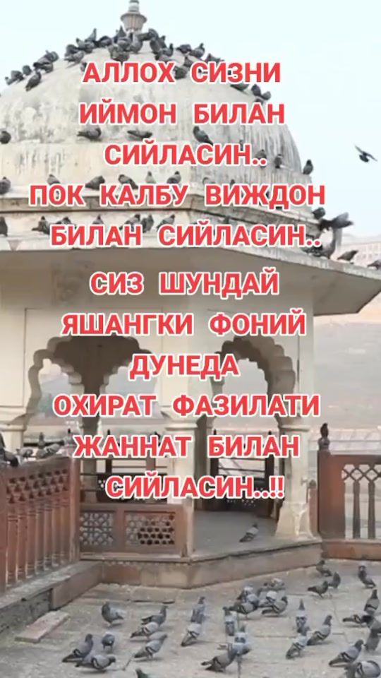 TikTok video thumbnail by rohatillo