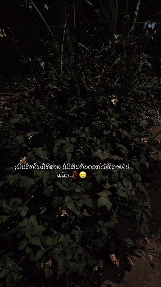 TikTok video thumbnail by mr.pheag
