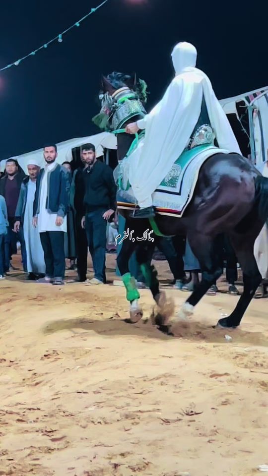 TikTok video thumbnail by malekabdo38