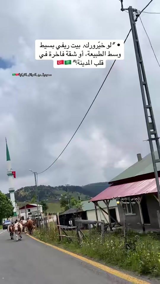 TikTok video thumbnail by meme_19953