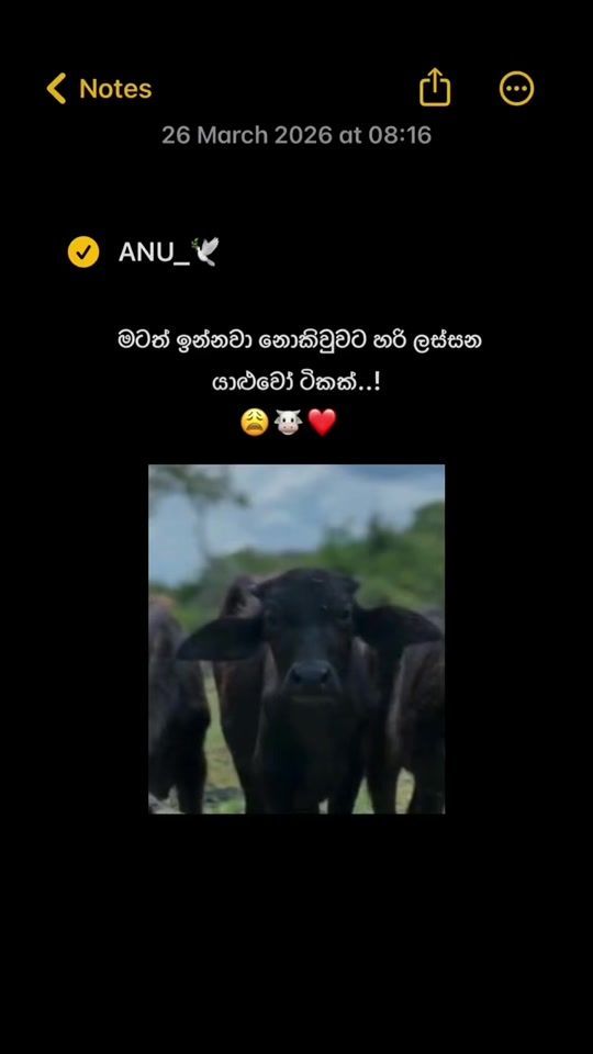 TikTok video thumbnail by anu_podda_