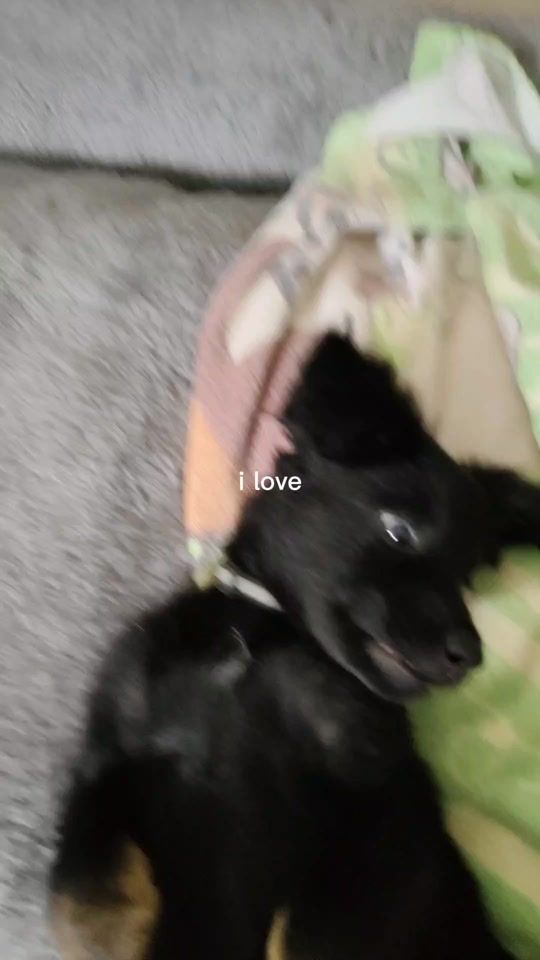 TikTok video thumbnail by yoongimittens