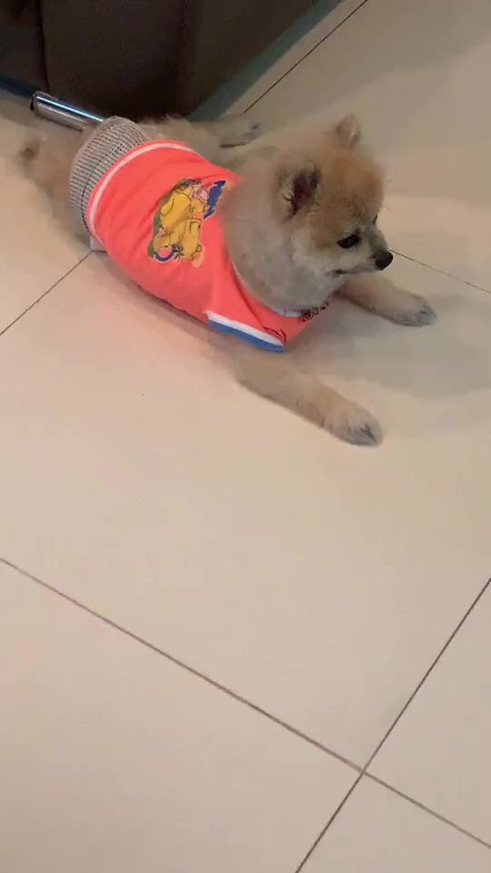 TikTok video thumbnail by priyankala