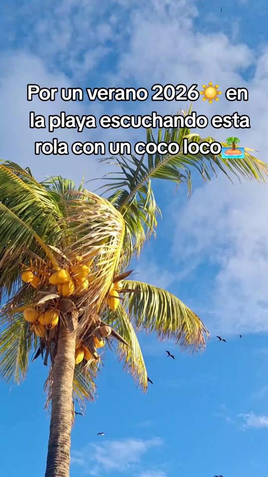 TikTok video thumbnail by cayos_cochinos
