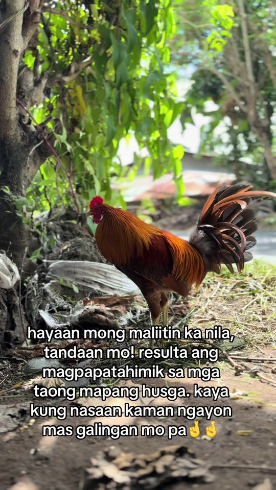 TikTok video thumbnail by sulitjayson1