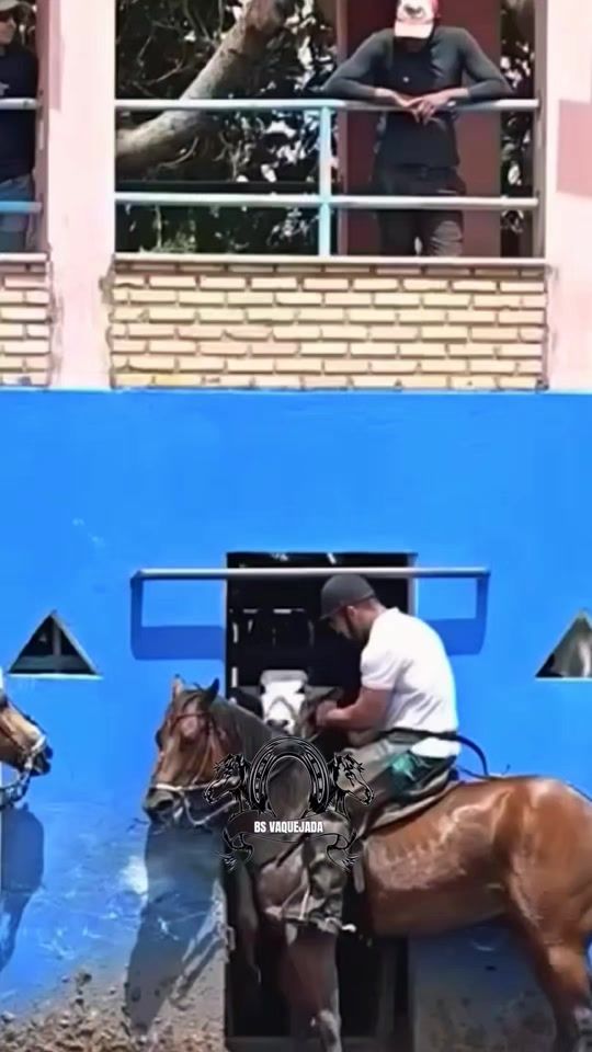 TikTok video thumbnail by bs.vaquejada