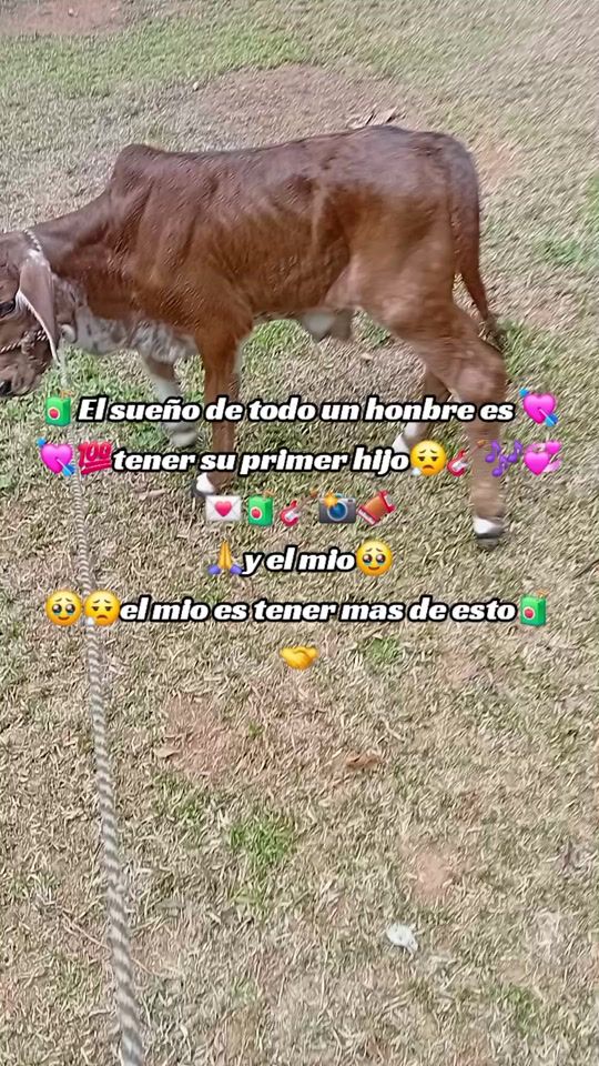 TikTok video thumbnail by domi.castillo23