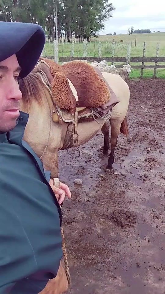 TikTok video thumbnail by josefernandeze1