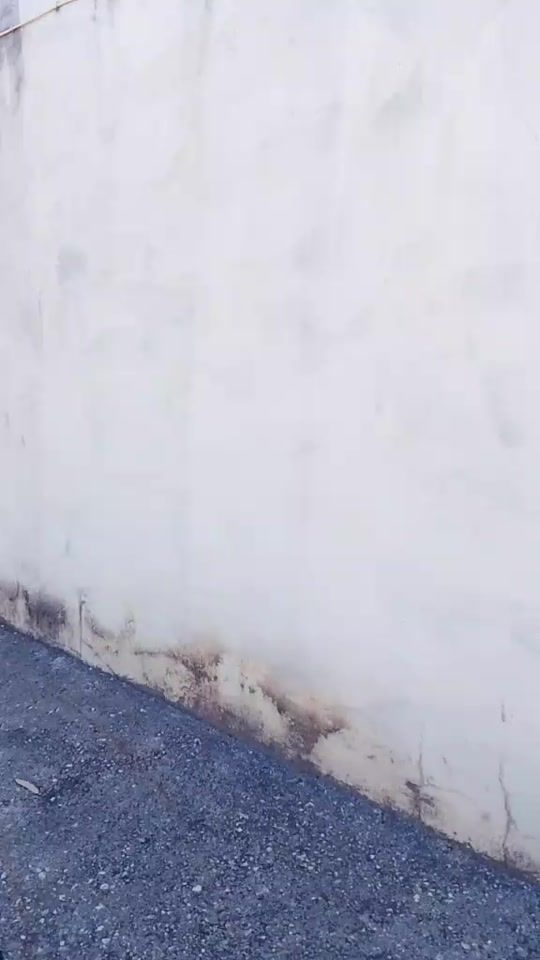 TikTok video thumbnail by floratrinta7