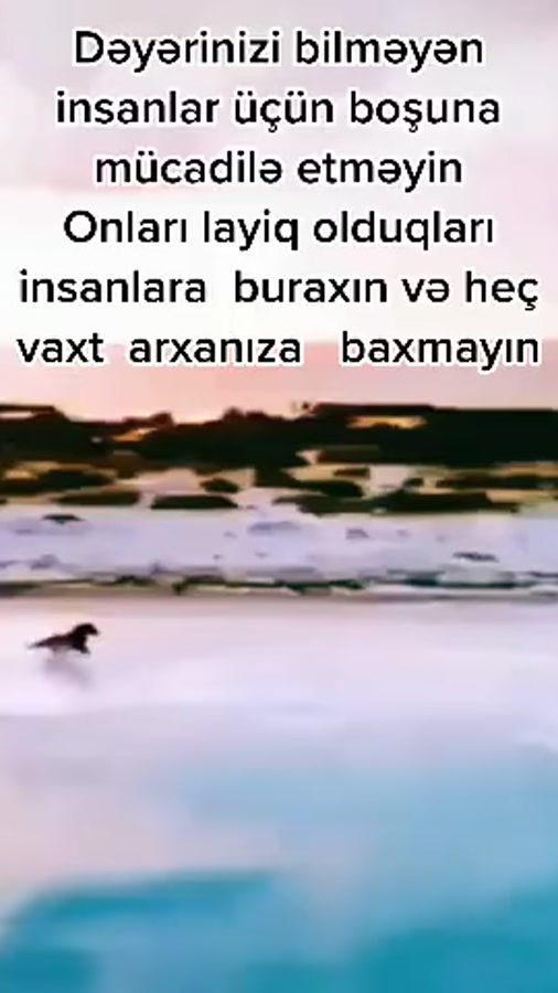 TikTok video thumbnail by nigarnigar132