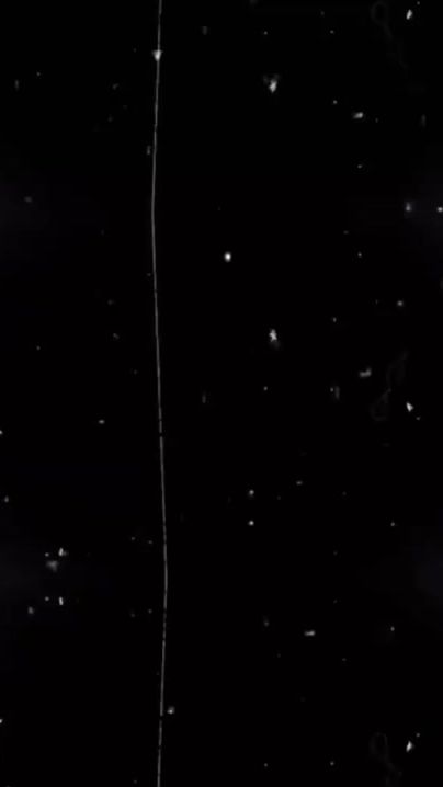 TikTok video thumbnail by roma_2881