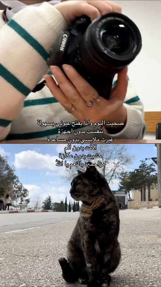 TikTok video thumbnail by nida.khalaaf