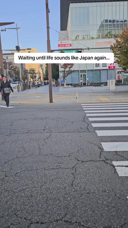 TikTok video thumbnail by japan_vision_