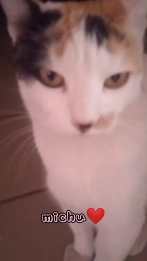 TikTok video thumbnail by maestra.niki