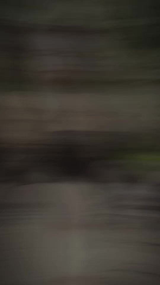 TikTok video thumbnail by user7274850702076