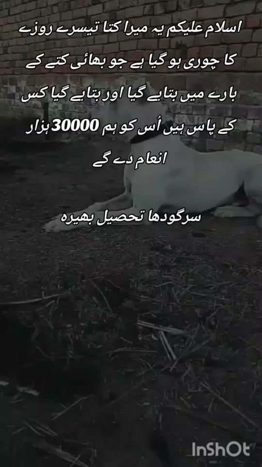 TikTok video thumbnail by talabat_27