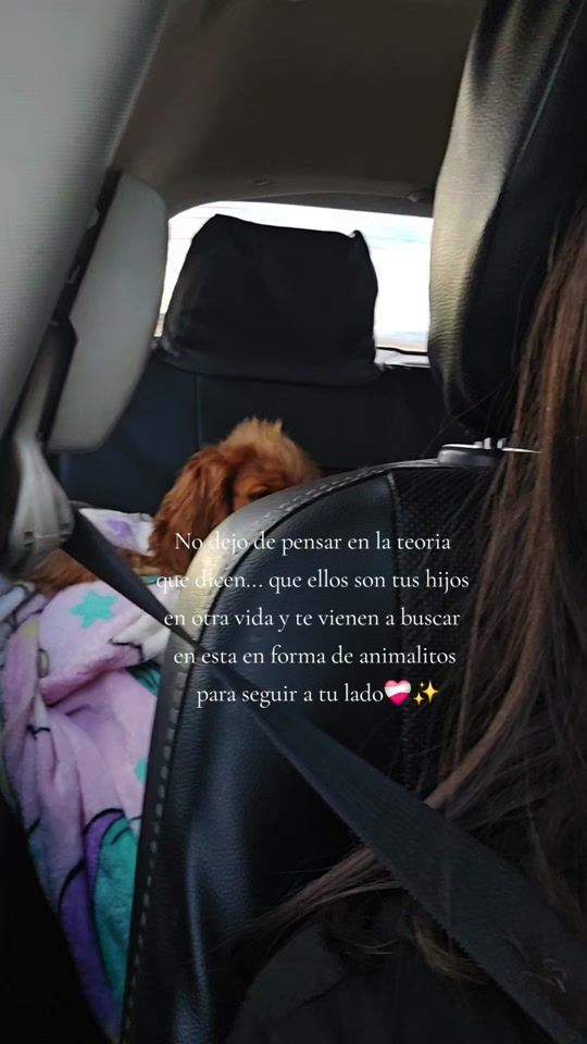 TikTok video thumbnail by 00.aliz