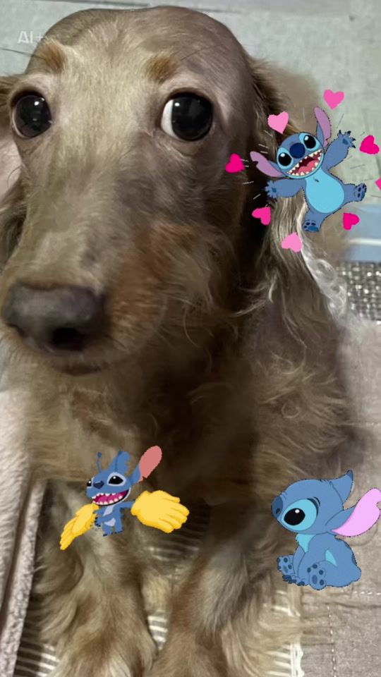 TikTok video thumbnail by rina48198