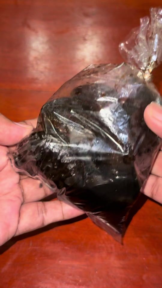 TikTok video thumbnail by mursid241