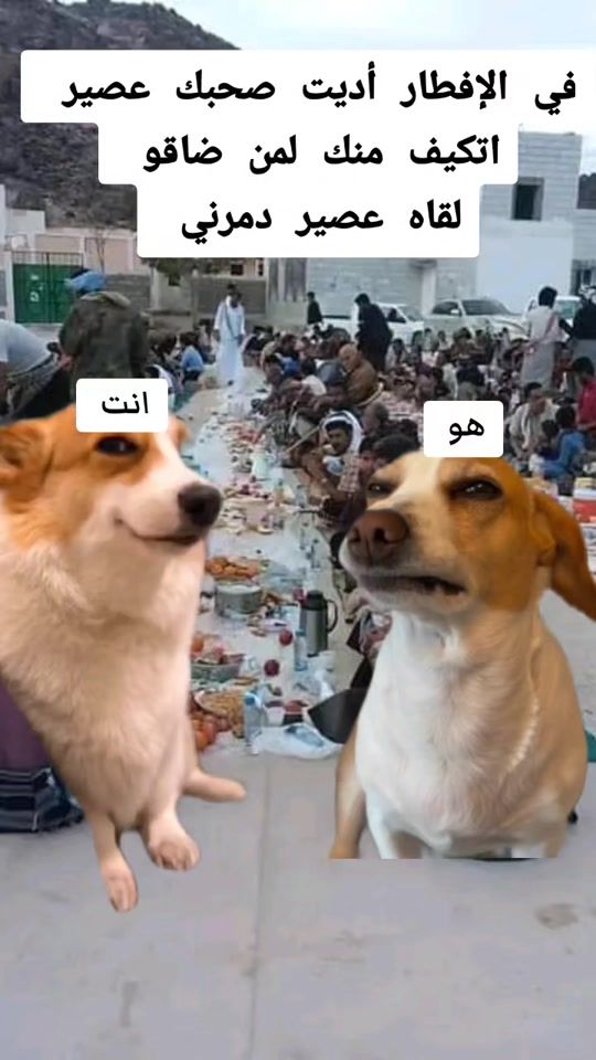 TikTok video thumbnail by prhomymax