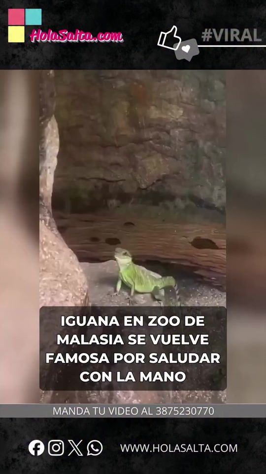 TikTok video thumbnail by daniel_valenzuela.28