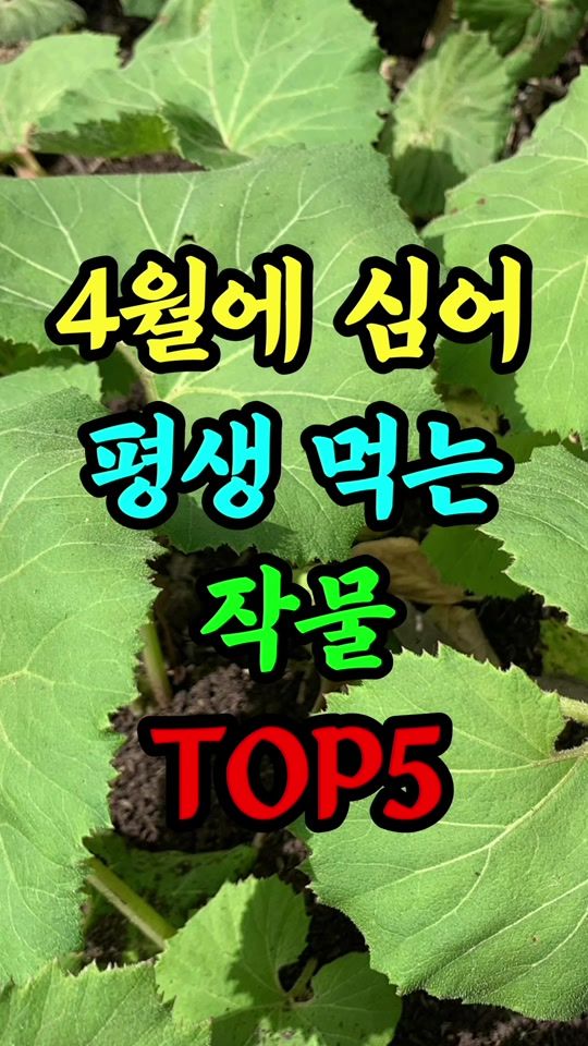 TikTok video thumbnail by geomyulfarm