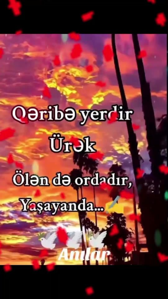 TikTok video thumbnail by bayramovniyaz