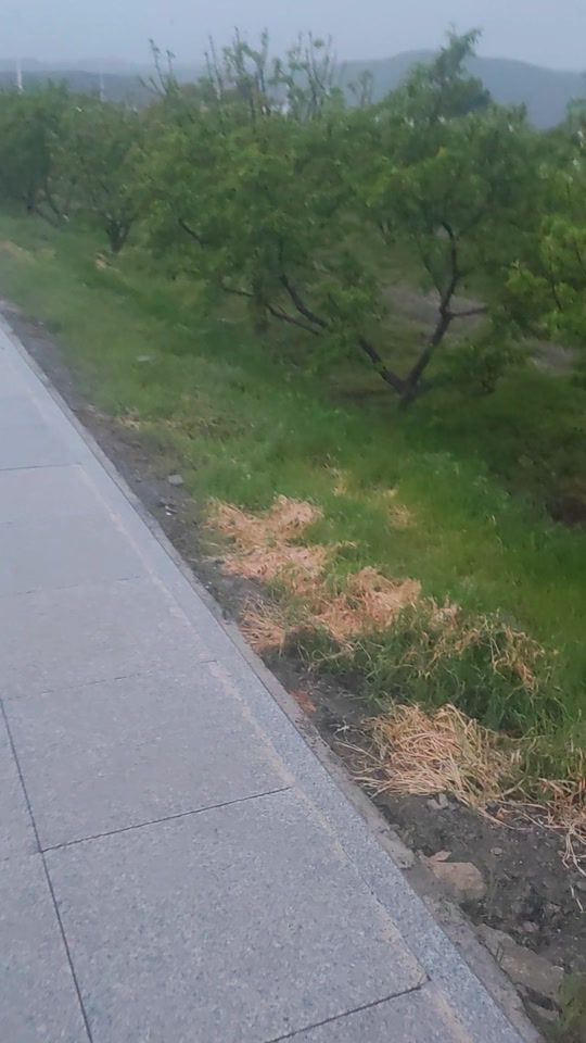 TikTok video thumbnail by orazmurat_77