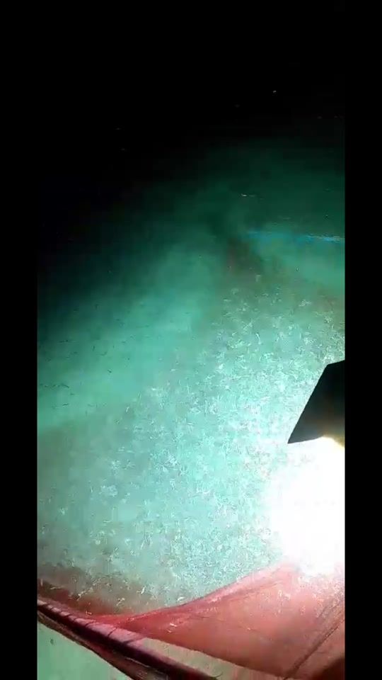 TikTok video thumbnail by mode.mode95