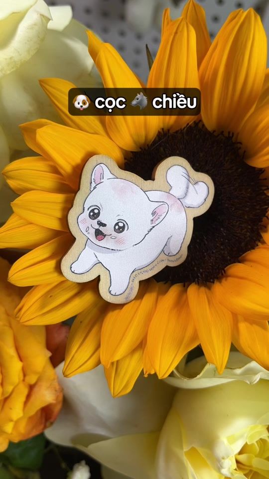 TikTok video thumbnail by howulike.dat