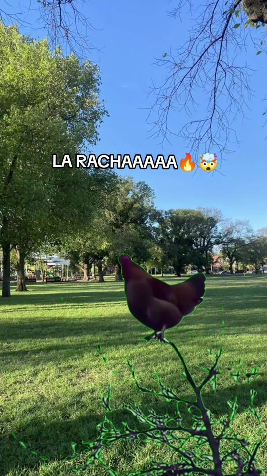 TikTok video thumbnail by brillith002