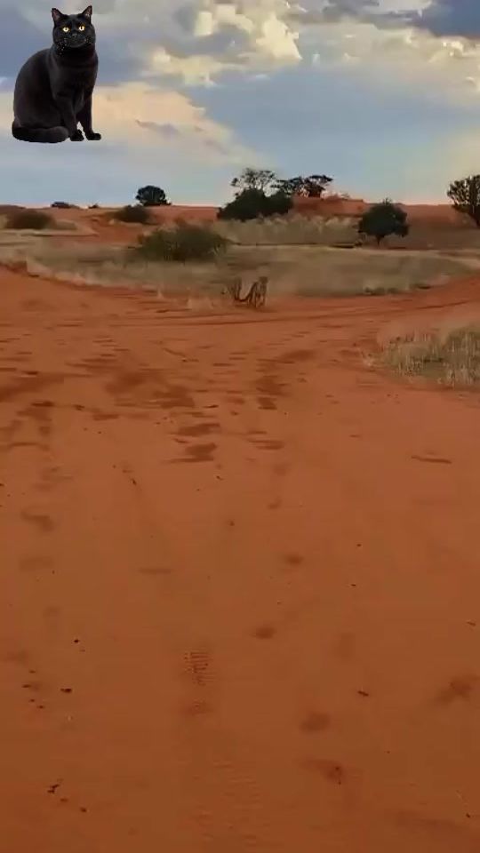 TikTok video thumbnail by genadievih07