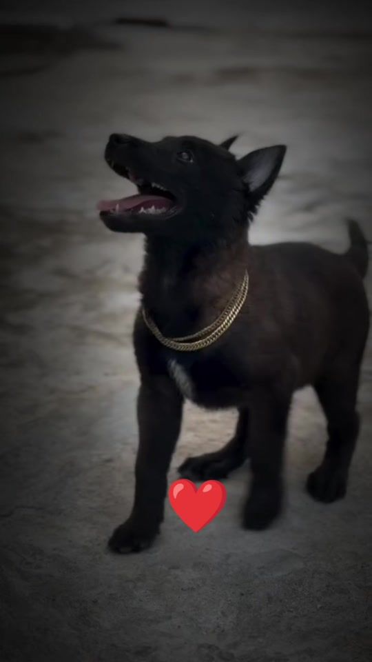 TikTok video thumbnail by nomno538