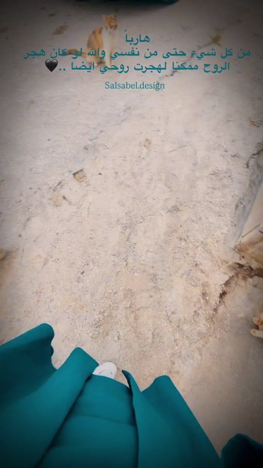 TikTok video thumbnail by salsabel.design