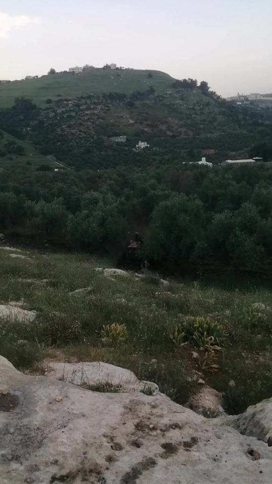 TikTok video thumbnail by omar_manaseer