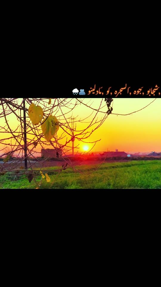 TikTok video thumbnail by v70hm
