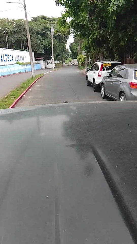 TikTok video thumbnail by magali.gonzalez44