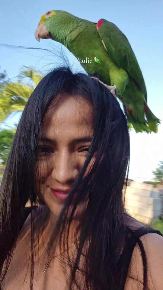 TikTok video thumbnail by addyical501
