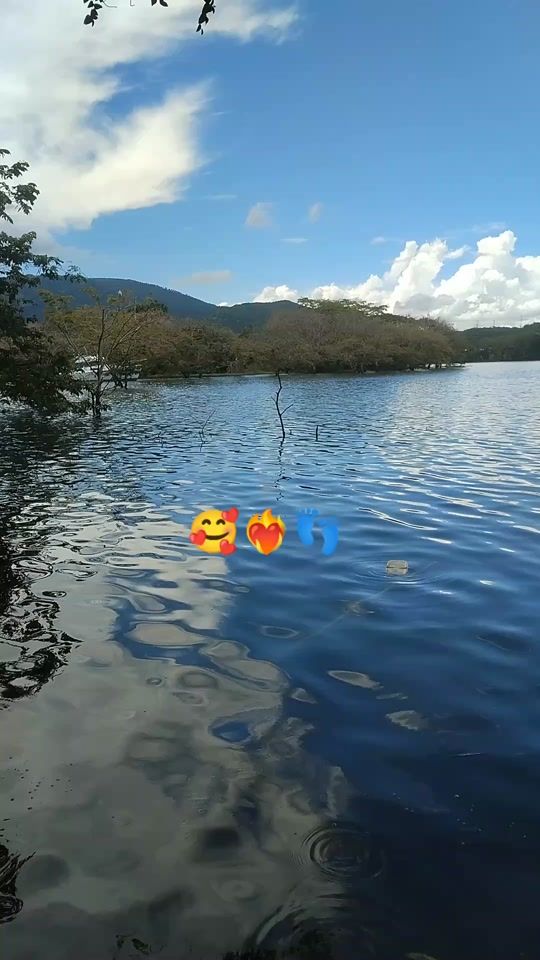 TikTok video thumbnail by pelucherd10