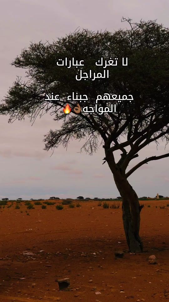 TikTok video thumbnail by jaiya94