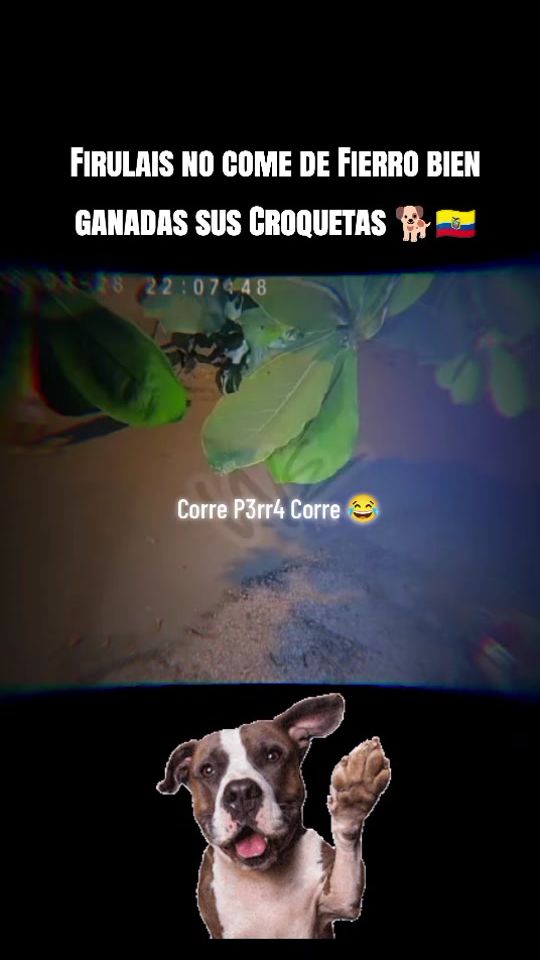 TikTok video thumbnail by ru.fus21