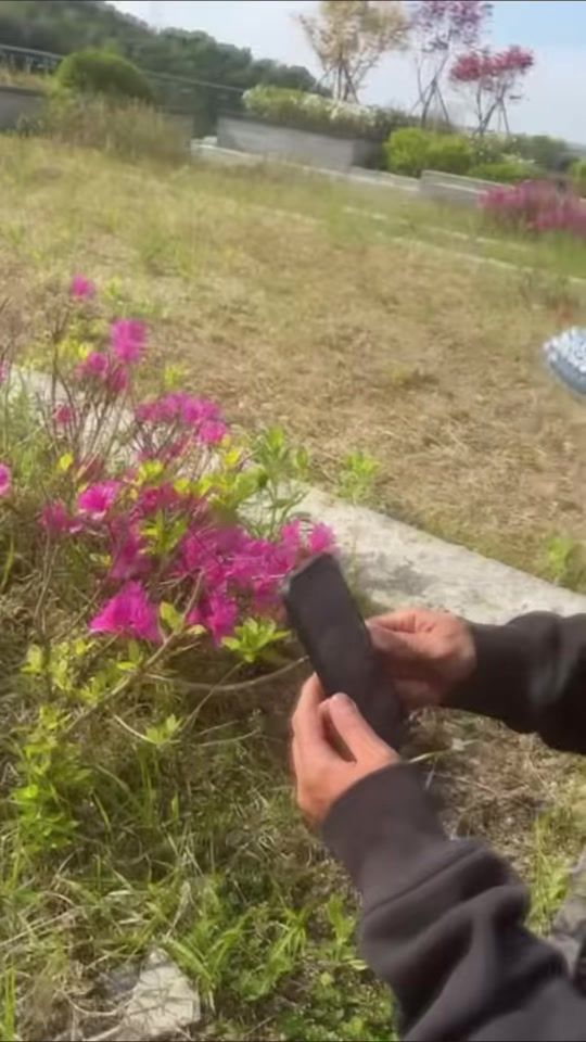 TikTok video thumbnail by aloha.kw