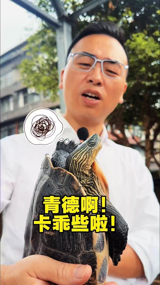 TikTok video thumbnail by zhongliabinge