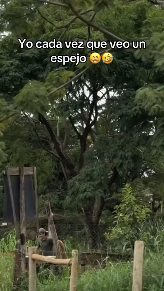 TikTok video thumbnail by obethzeledon