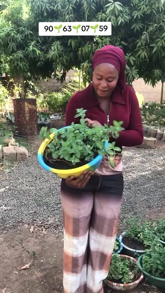 TikTok video thumbnail by bayapo4