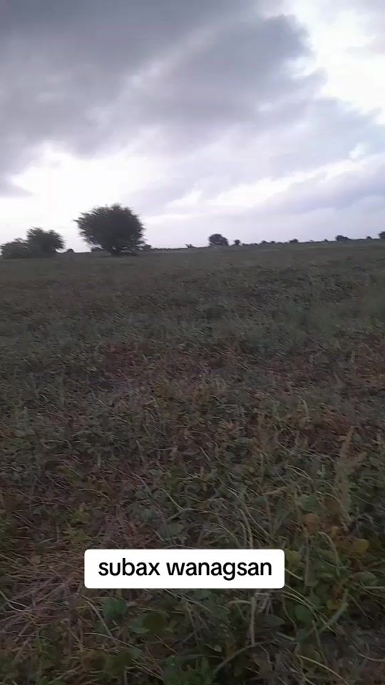 TikTok video thumbnail by king.4tuulo
