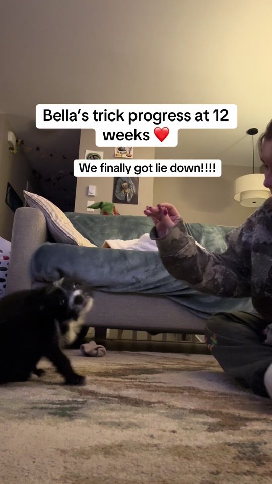 TikTok video thumbnail by binkythechichi2