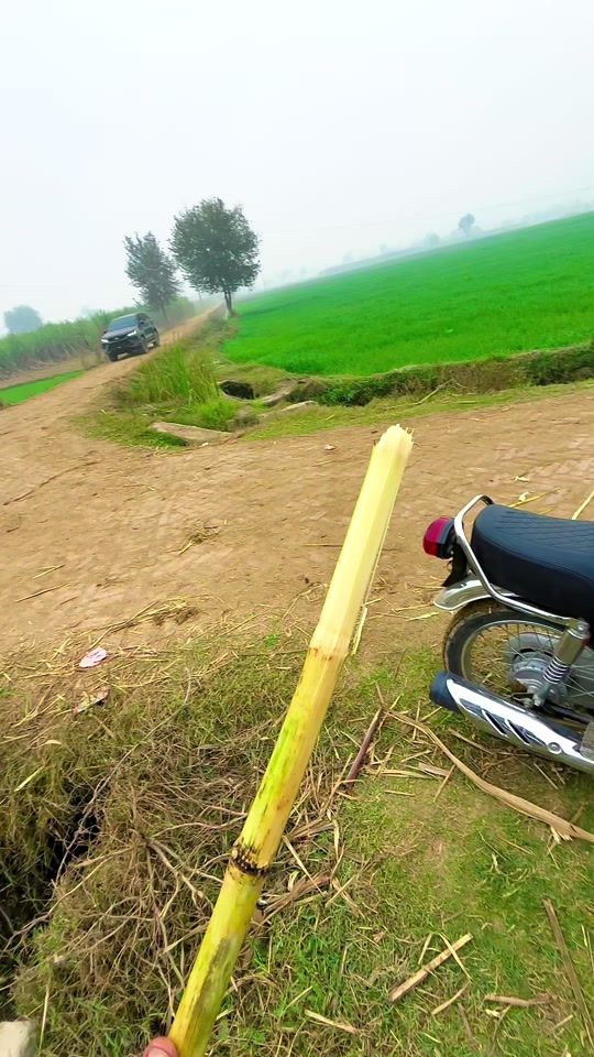 TikTok video thumbnail by shani_mayo1