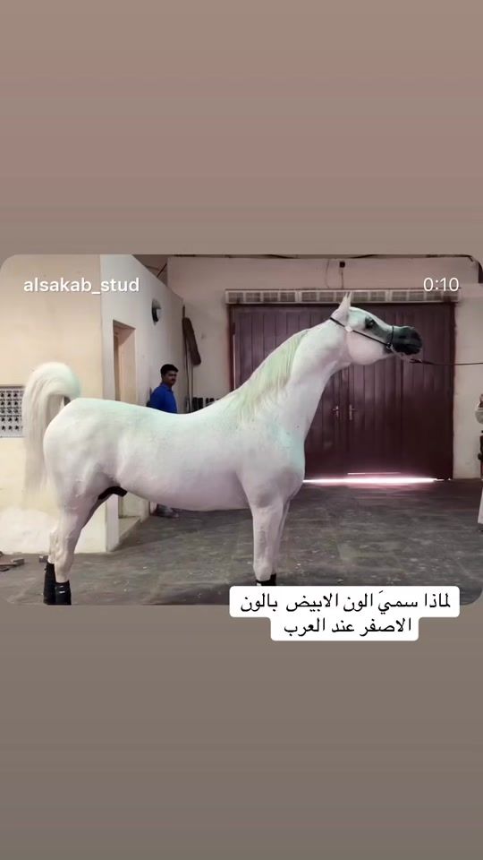 TikTok video thumbnail by du.x20