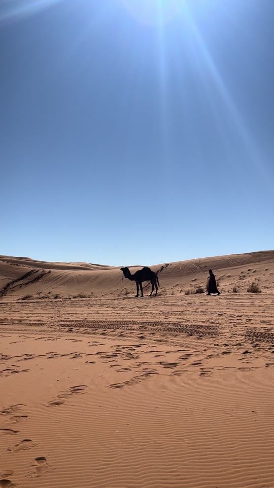 TikTok video thumbnail by desert_with_omar